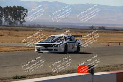 media/Nov-16-2024-CalClub SCCA (Sat) [[641f3b2761]]/Group 6/Grid and Front Straight/